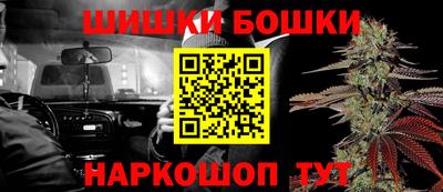 крисы Камышлов