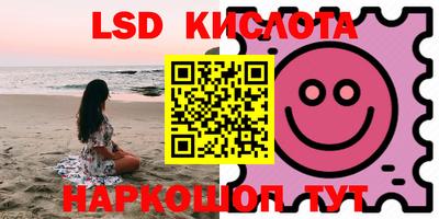 крисы Камышлов
