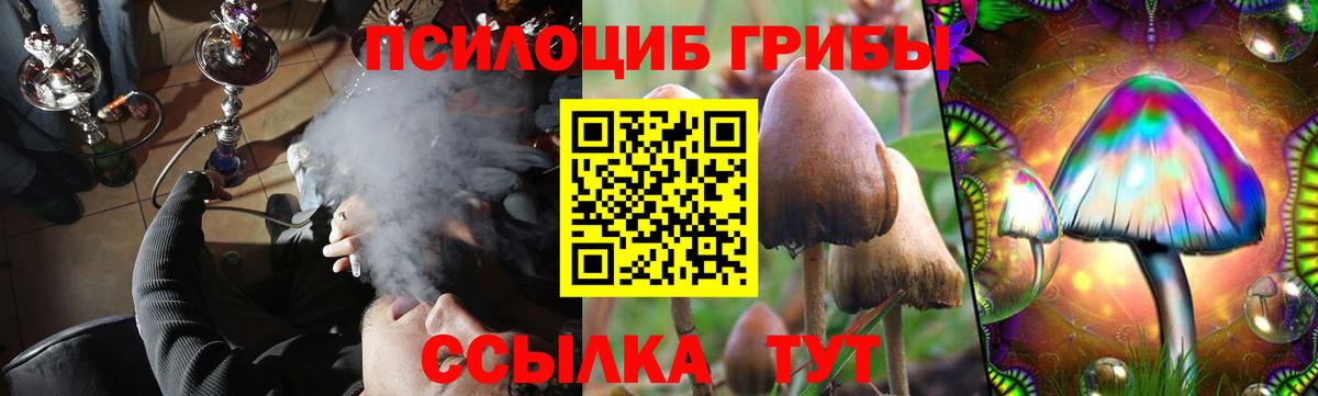 Кувандык  Галлюциногенные грибы Psilocybe  Вход с VPN 