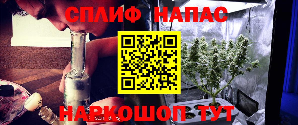 Бошки Шишки Bruce Banner  Вход с VPN  Каннабис конопля  МАРИХУАНА семена  Кувандык 